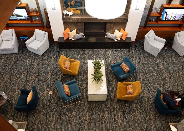 Pet Friendly hotel: Hilton Knoxville