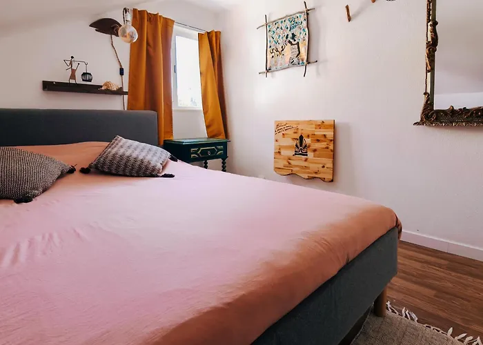 Dog friendly hotels Lisbon Soul Surf Camp