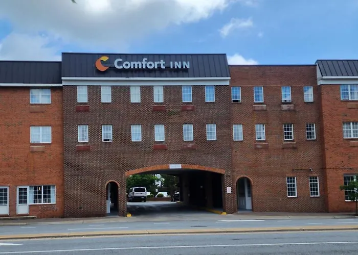 Comfort Ballston