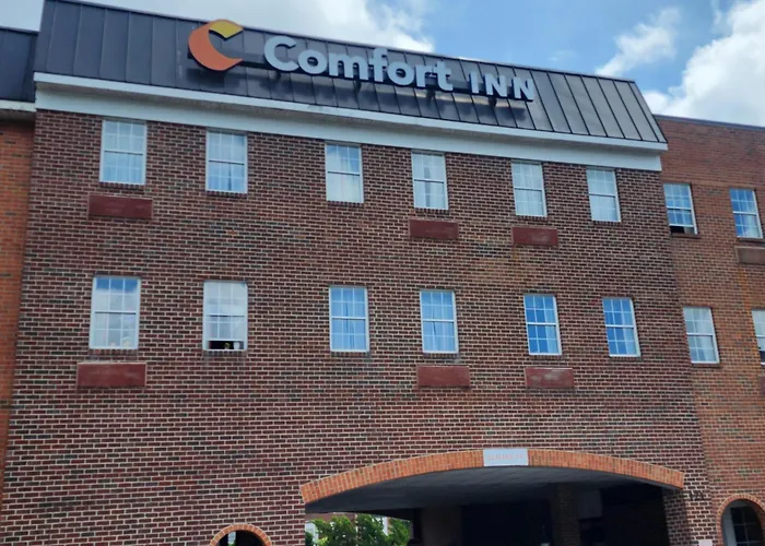 Comfort Ballston