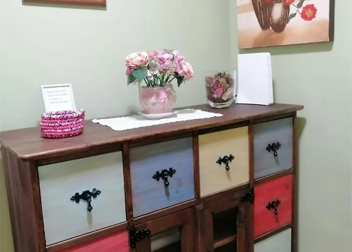 Perros hoteles Colores
