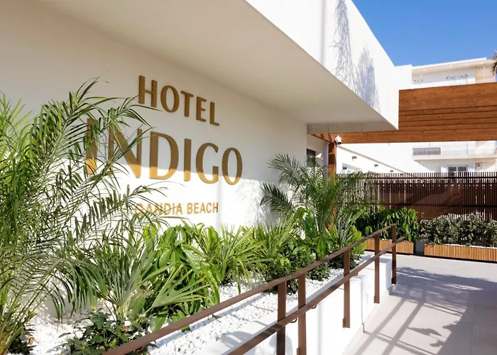 Perros hoteles Indigo Gandia Beach By Ihg