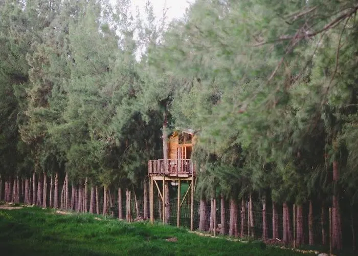Vindoux Tree House Guest Farm & Spa