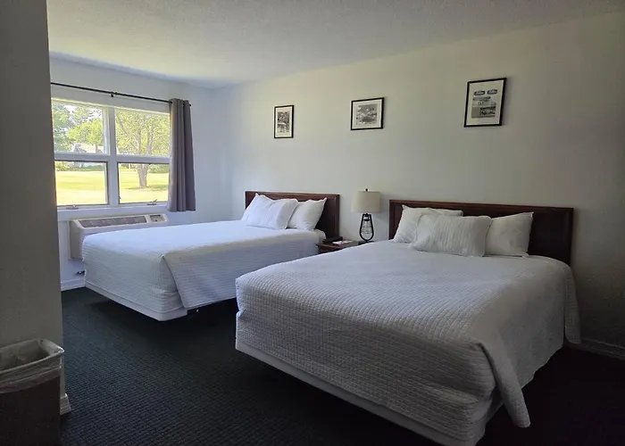Motel: Stowe Motel & Snowdrift