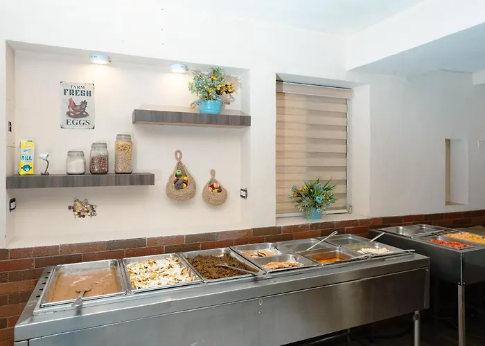 Perros hoteles Suites Kino