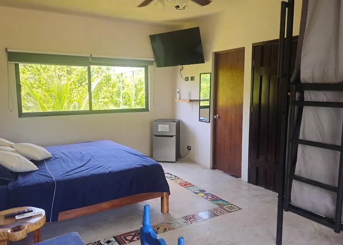 Hotel cerca del colegio: Maui Hostels Tulum