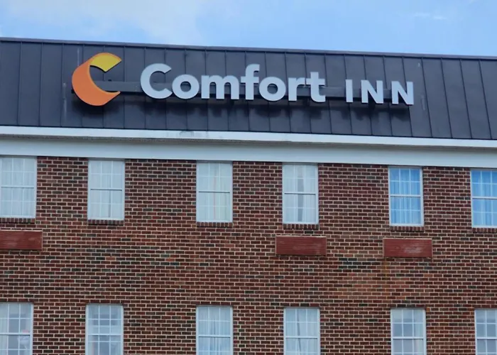 Comfort Ballston