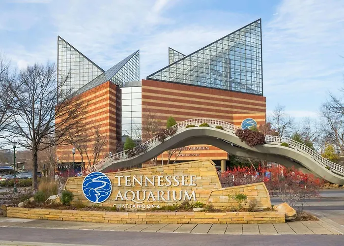 Motel: Knights Inn Chattanooga