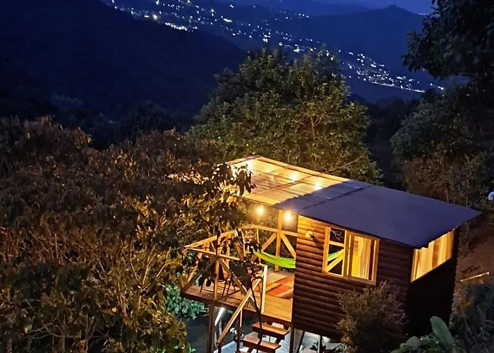 Camping: Camping Entre Arboles