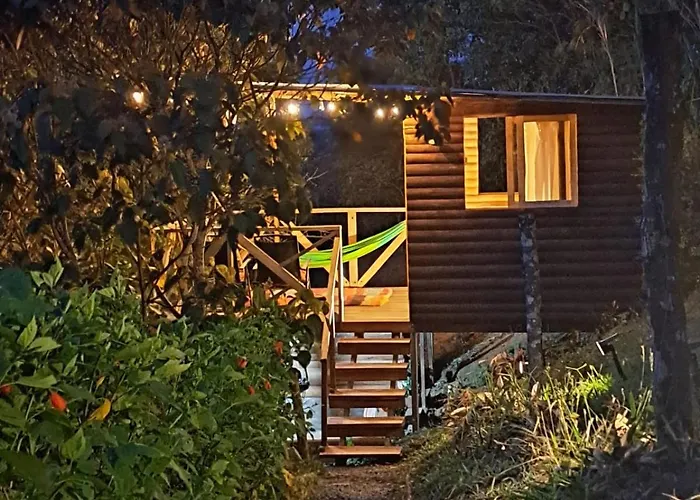 Camping: Camping Entre Arboles