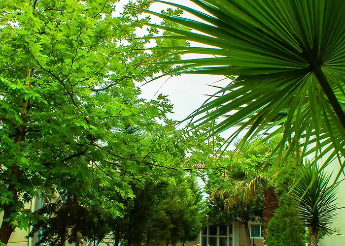Ping Pong hotel: The Crescent Beach Hotel