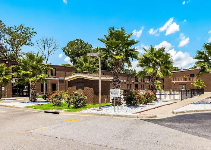 Econo Garden City -
