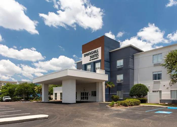 Cheap hotel: Springhill Suites By Marriott Baton Rouge South