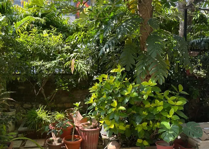 Apartment: Magpie Villa