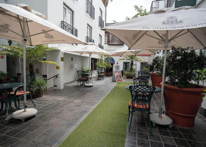 Cheap hotel: The Stellenbosch Hotel