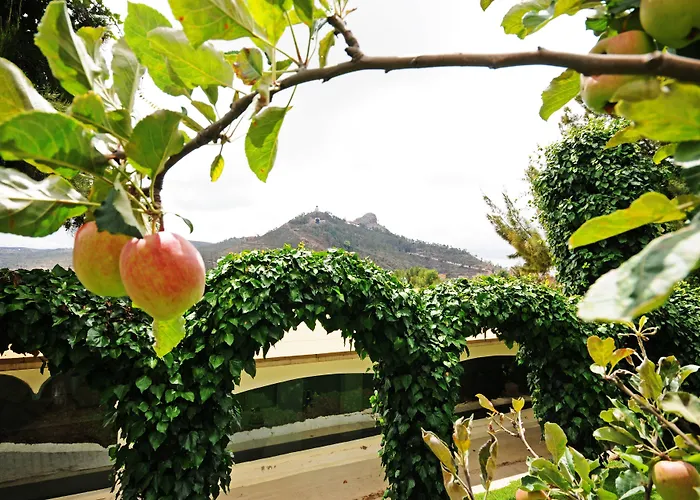 Golf hotel: Hotel Baruk Teleferico Centro Historico