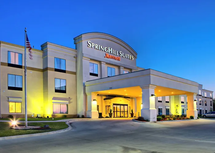 Luxury hotel only: Springhill Suites By Marriott Ardmore