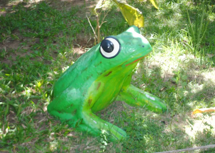 Hotel de luxo Apenas: Chalet Suisse