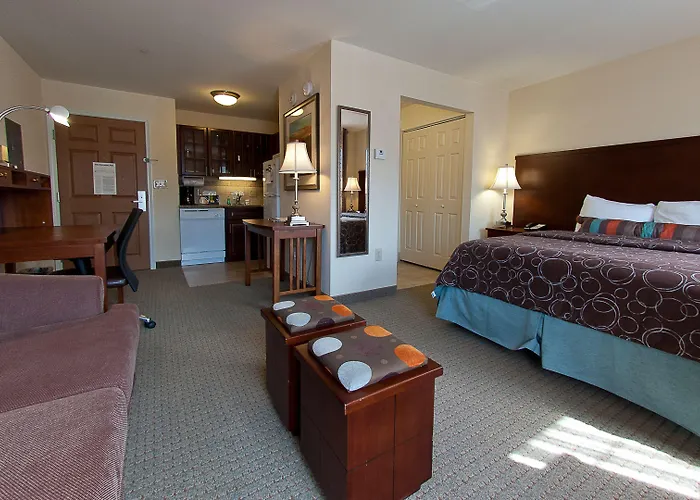 Dog friendly hotels Staybridge Suites East Stroudsburg - Poconos By Ihg