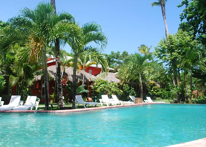 Perros hoteles La Tortuga