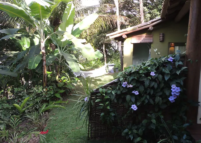 Hotel que aceita animais de estimação: Nirvana Beach Hotel