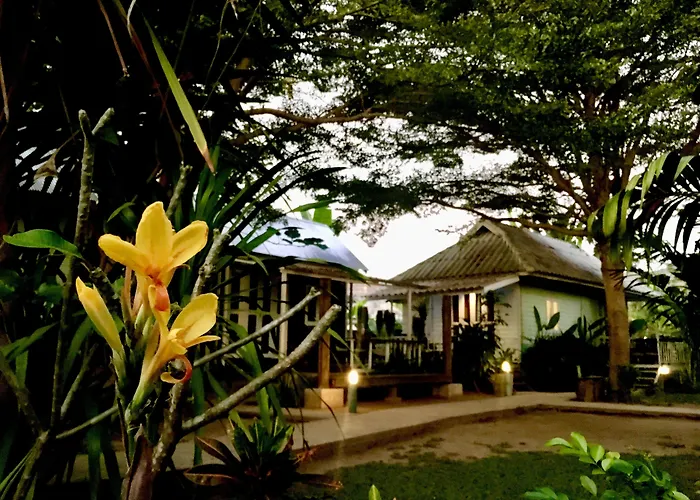 Guest house: Canary Guesthouse