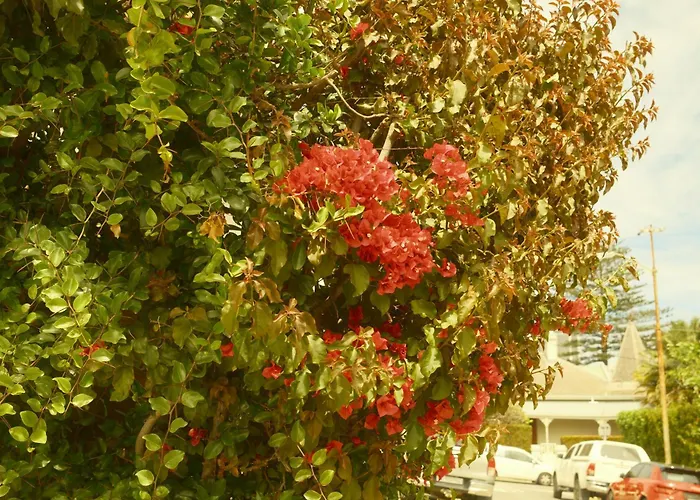 Villa Costa Rose