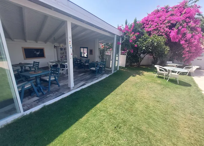 Grandma'S Garden