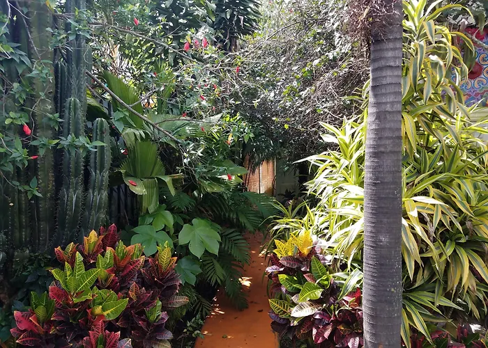 B&B only: Hotel Casa 69