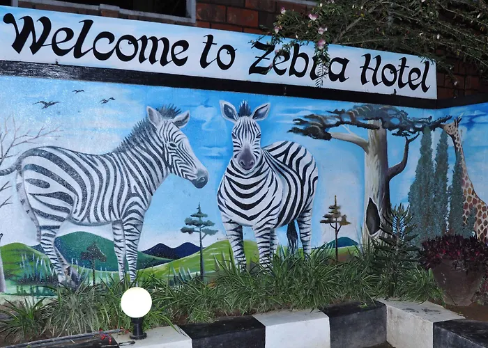 Luxury hotel only: Zebra Boutique Hotel