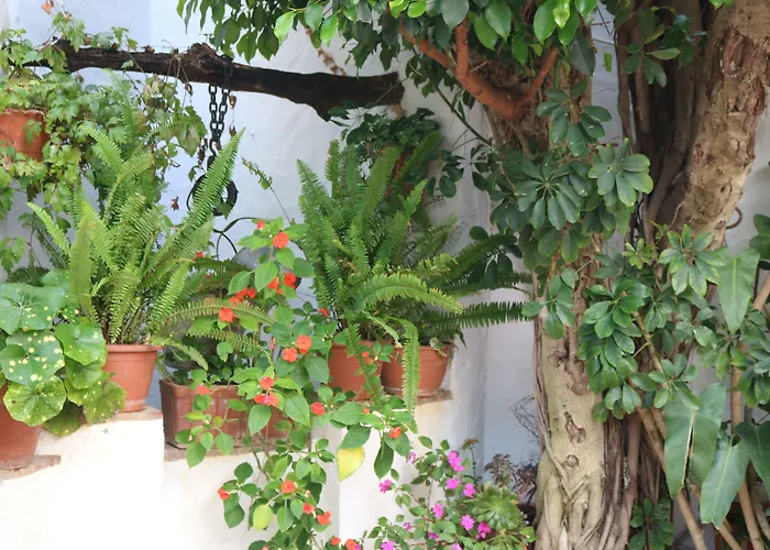 Restaurante Blanco Y