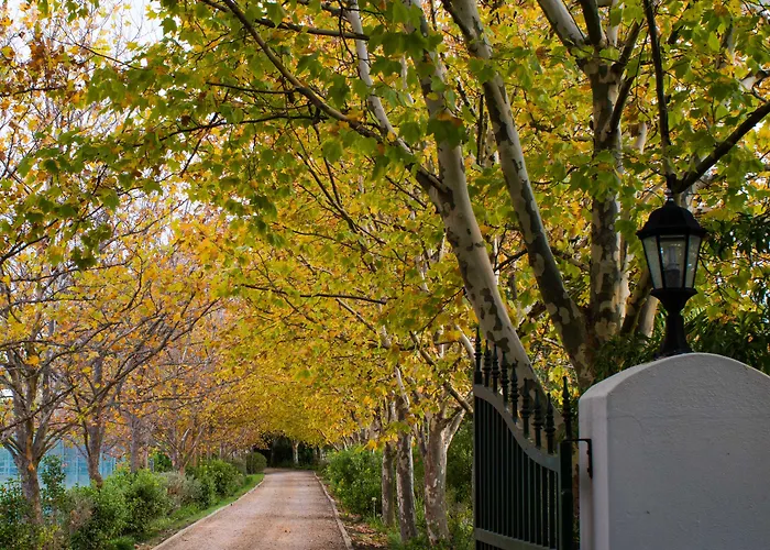 Pension Guide Sanddrif Stellenbosch Guest Farm