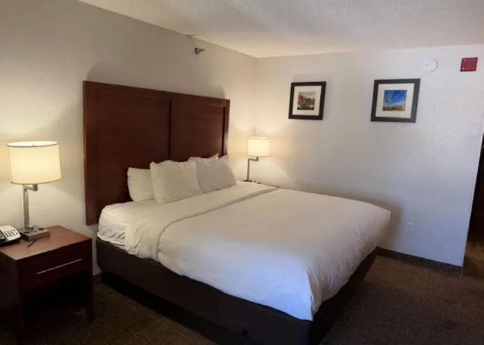 Comfort Inn & Suites Phoenix North - Deer Valley