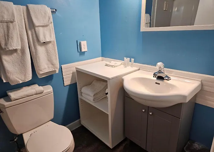 Pet Friendly hotel: Metro Inn