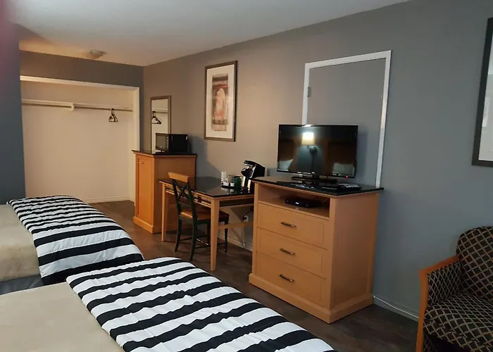 Pet Friendly hotel: Metro Inn