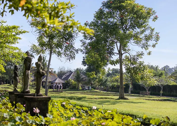 Hotel: Visesa Ubud Resort