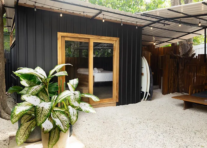 Zeneidas Surf Garden
