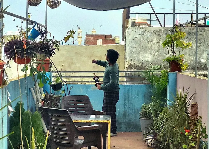 Pet Friendly hotel: Ali Baba Hostel & Homestay