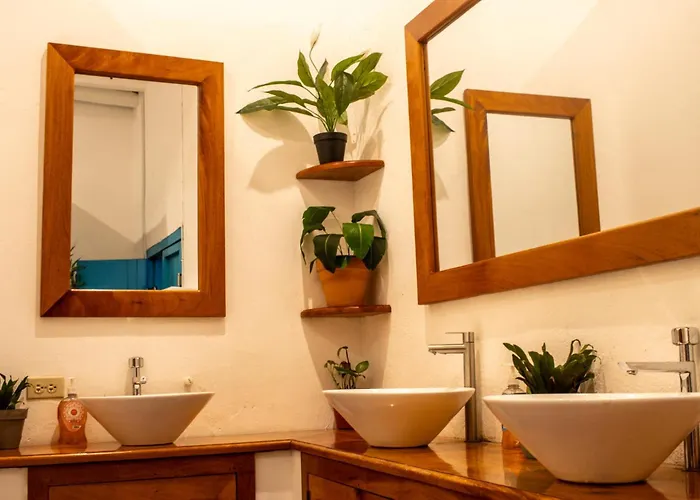 Hostel: Los Amigos Hostel
