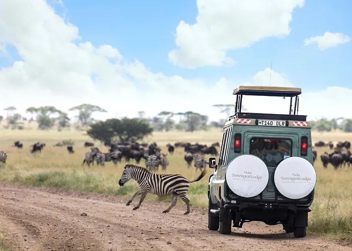 Spa Hotel: Melia Serengeti Lodge Melia Collection