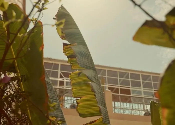 Hôtel de luxe: Riad Azoulay