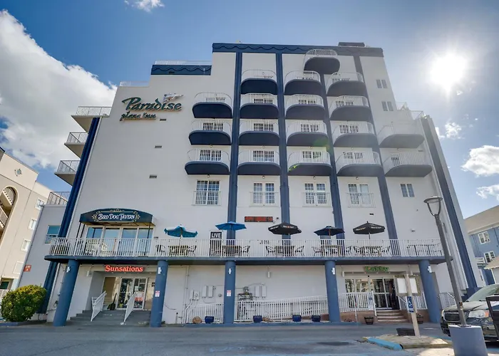 Hotel que admite mascotas: Paradise Plaza Inn