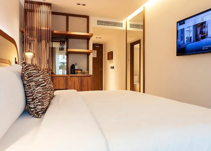Perros hoteles Indigo Gandia Beach By Ihg
