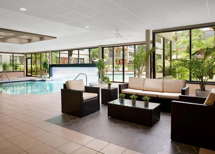 Pet Friendly hotel: Sheraton Suites Orlando Airport Hotel