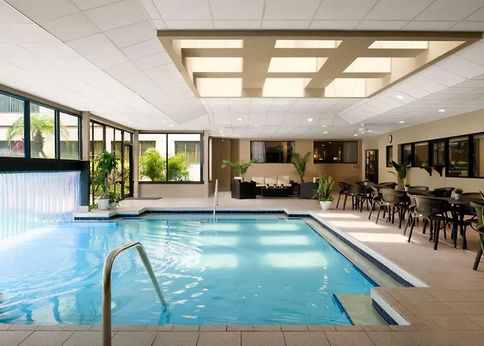 Pet Friendly hotel: Sheraton Suites Orlando Airport Hotel