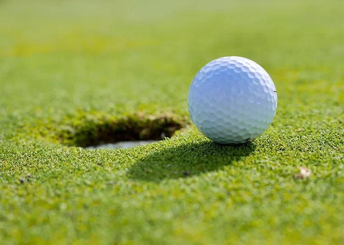 Hôtel accueillant les animaux: Hotel Europa