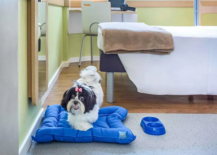 Cheap hotel: Ibis Budget Sao Paulo Jardins