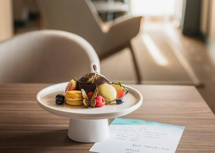 Hôtel accueillant les animaux: Melia Milano