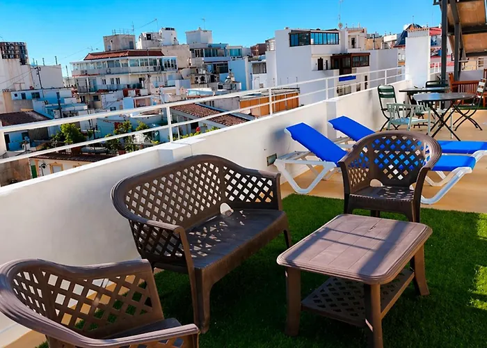 Pets Allowed Hotel Clopy Rocamar