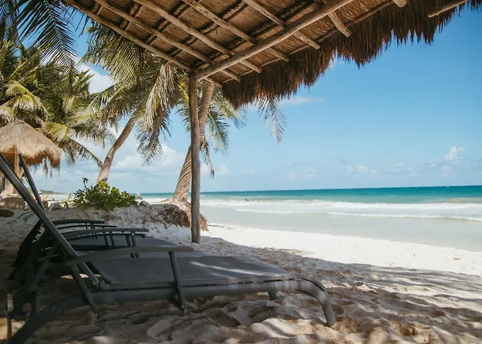 Beach hotel: Olas Tulum